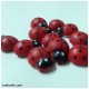 Калинки - средни от www.cvetarski.com