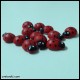 Калинки - средни от www.cvetarski.com